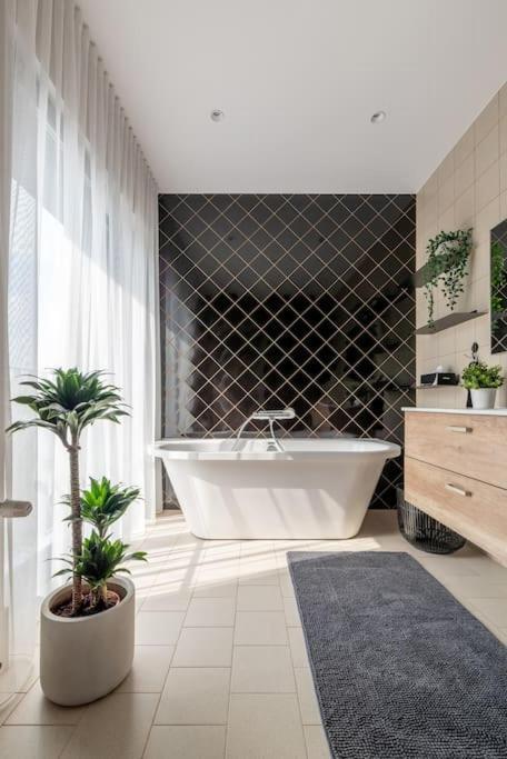 Luxurious Penthouse With Parking 里加