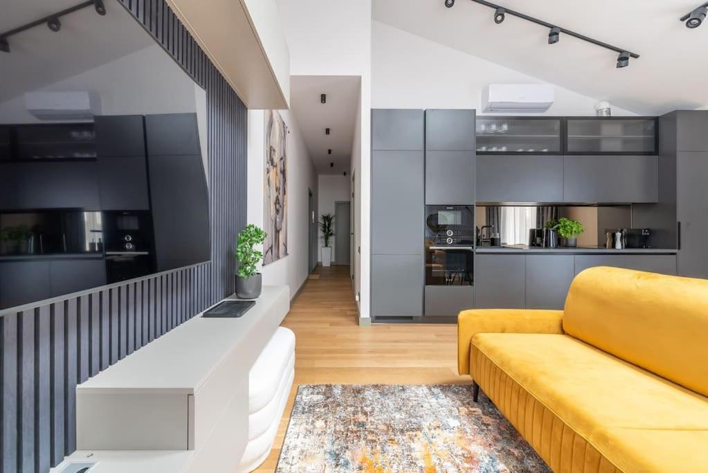 公寓 Luxurious Penthouse With Parking 里加