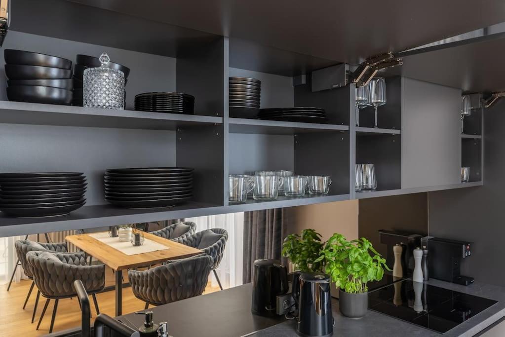 Luxurious Penthouse With Parking 里加